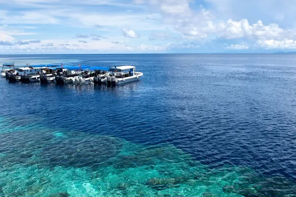 Malaysia's coral reefs threatened by offshore oil and gas exploration