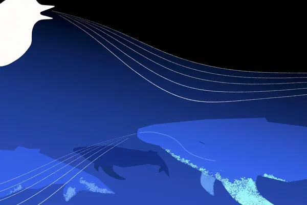 Google's Perch 2.0 AI model excels at recognizing whale calls using bird training