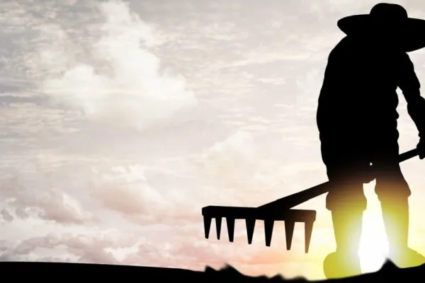 Cyberattack cripples farming operations, leaving crops unharvested