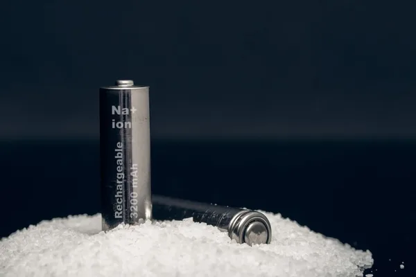 Chinese scientist Lu Yaxiang pioneers sodium-ion battery breakthrough
