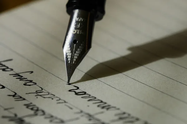 Writer uses Claude AI and Python to boost content output