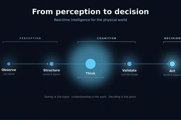 AI vision systems lack critical layer for decision-making