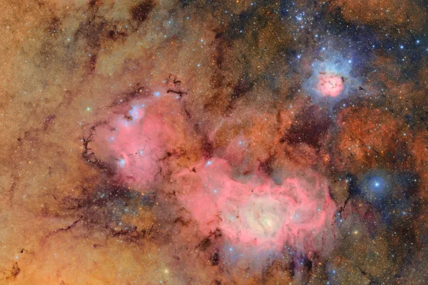 Vera C. Rubin Observatory begins 10-year cosmic survey; cyborg cockroaches get diving suits