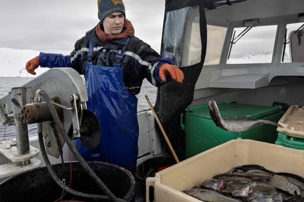 US eyes Greenland seafood to counter China's supply chain dominance