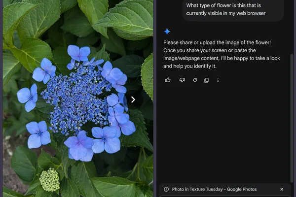 用户对 Google Photos 和 Chrome 中缺乏 Google Lens AI 集成感到沮丧