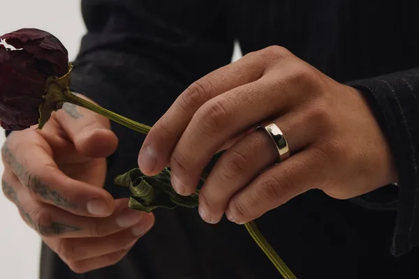Oura Ring 5 launches 40% smaller with enhanced health tracking