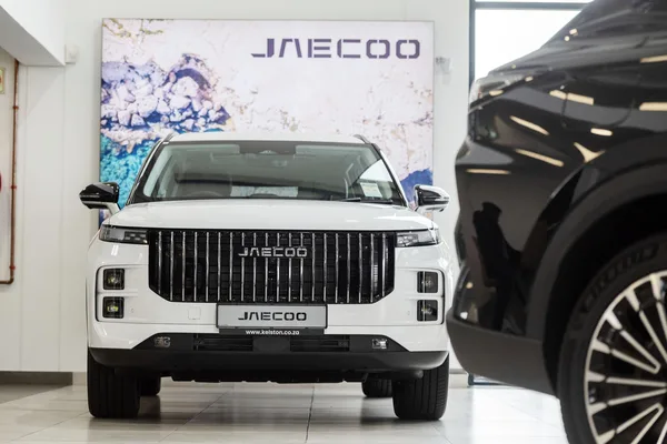 Chinese EVs capture European market share amid automaker profit warnings
