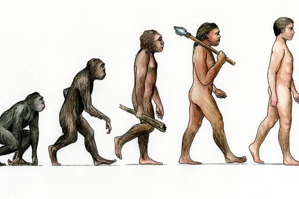 进化生物学家解释了为什么进化尽管在不断变化，但看起来是静态的