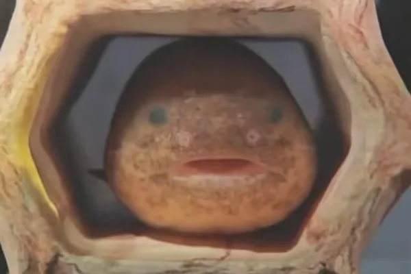 Meta criticized for AI-generated fish images spreading misinformation