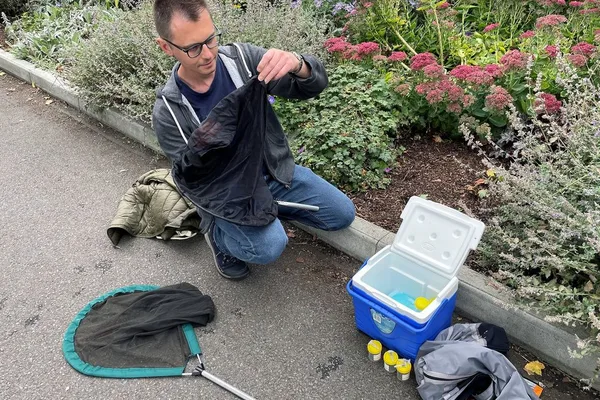 雷达系统利用人工智能区分昆虫种类