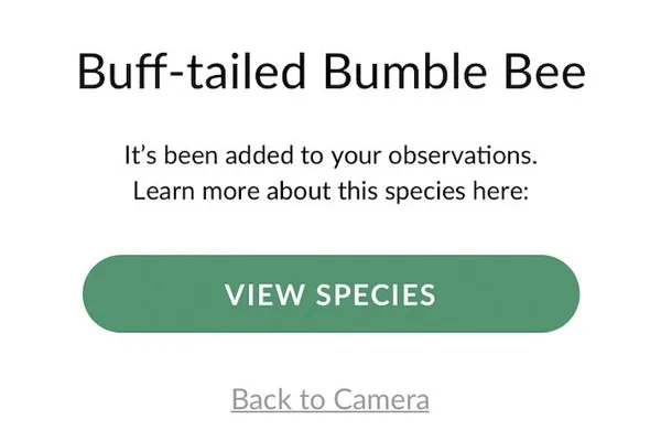 据报道，AI 集成正在降低 iNaturalist Seek 应用的功能