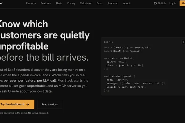 Developer builds tool to track LLM costs per user after losing money