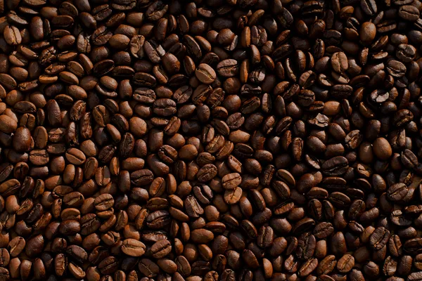 Claude AI explained through coffee appreciation metaphor