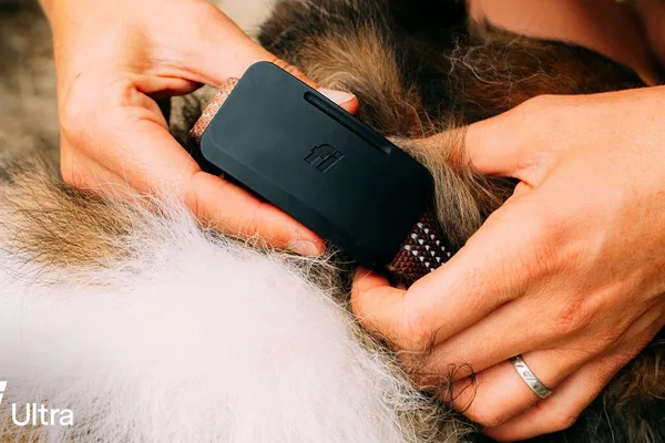 Fi Ultra pet tracker adds Starlink satellite connectivity for remote coverage