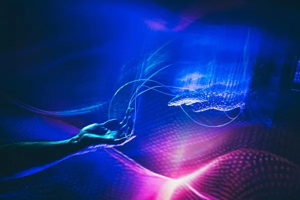Digital Twins Emerge as Key Tool for Faster Marketing Decisions