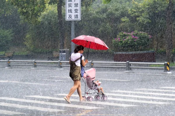 中国面临极端天气加剧的粮食安全风险，习近平呼吁采取行动