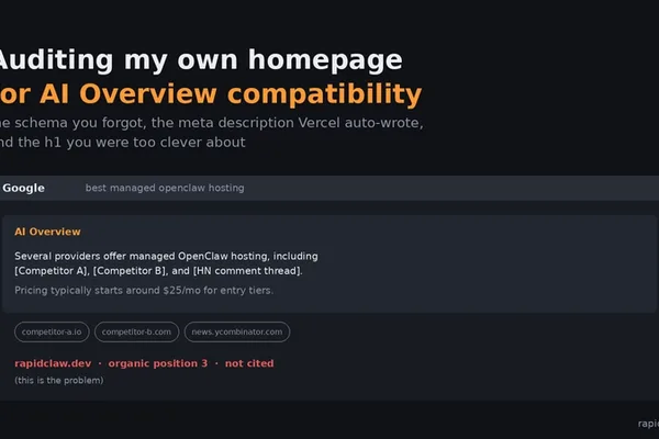 Website owner audits homepage for Google AI Overview compatibility