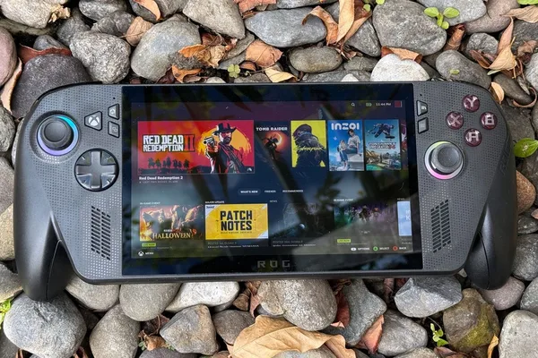 Chinese courts affirm heirs' right to inherit digital game assets
