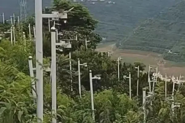 Chinese farmer's camera 'forest' fails to boost land compensation