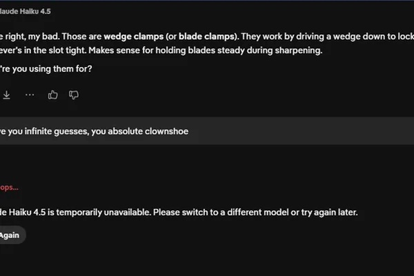 Reddit user claims responsibility for ClaudeAI outages