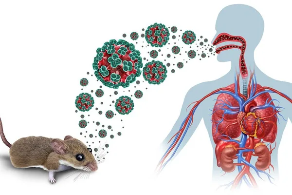 Hantavirus outbreak linked to weather and rodent behavior