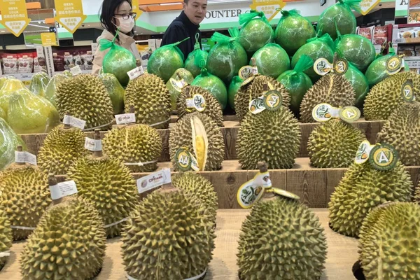 Malaysia's 'Durian Tsunami' Causes Prices for Premium Musang King to Plummet