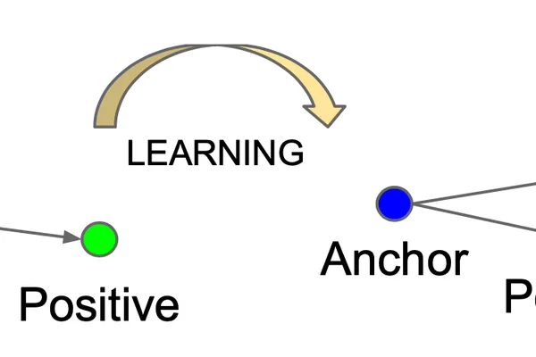 Contrastive learning advances model robustness and transparency in AI
