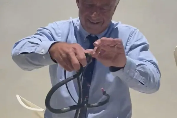 RFK Jr. shares video of himself handling snakes