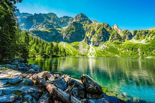 AI-recommended route leads to tourists stranded in Poland