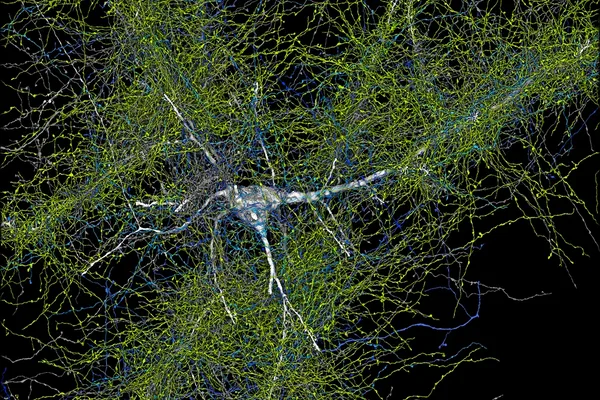 Google Research champions open science with global partnerships and open resources