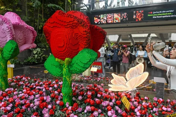 Singapore sees rise in singles, fewer children according to new survey