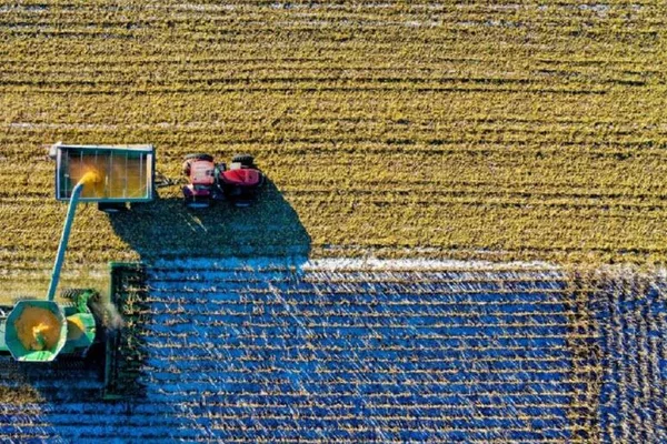 European Commission to use AI for food fraud detection