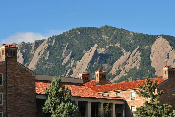 CU Boulder expands AI steering committee for student success