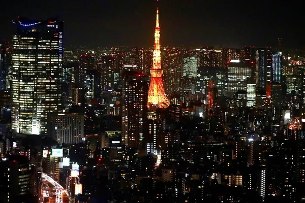 Woman arrested in Japan for sewing roommate's lips shut