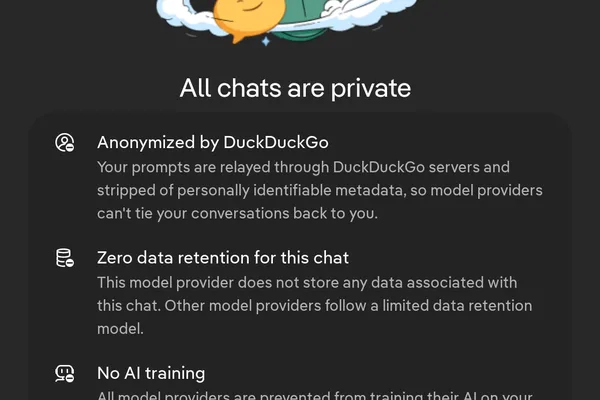User questions AI training benefits with anonymized conversations