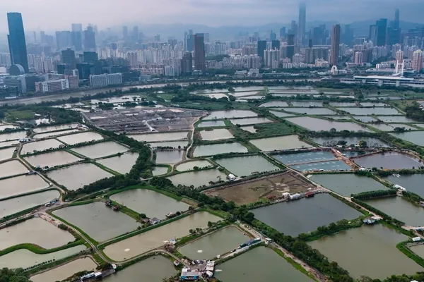 香港快速通道法律将与环保法规并行