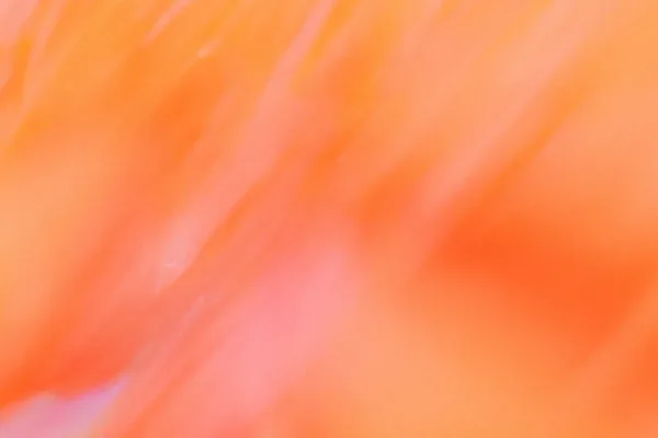 OpenAI forms independent board committee for AI safety and security oversight