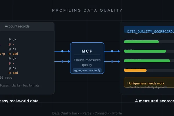Claude Code and MCP Enhance Salesforce Data Quality Profiling