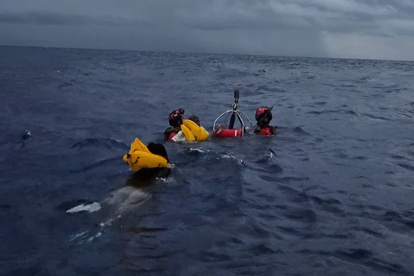 11 survive plane crash and 5-hour sea ordeal off Florida coast