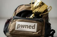 Thief posed as Wi-Fi fixing hero, then stole priceless trophy