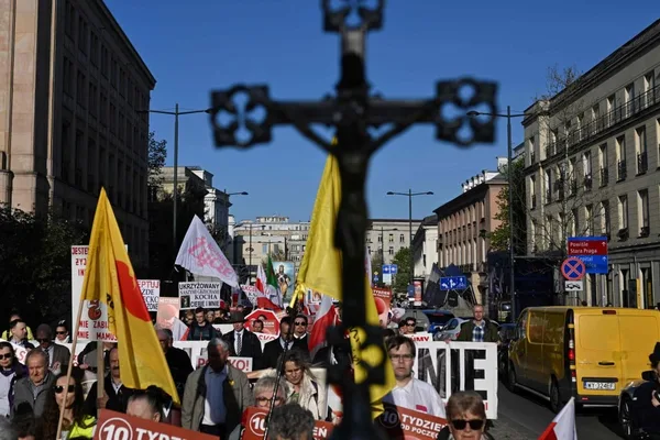 Polish doctor arrested after 34 fetuses found in garden