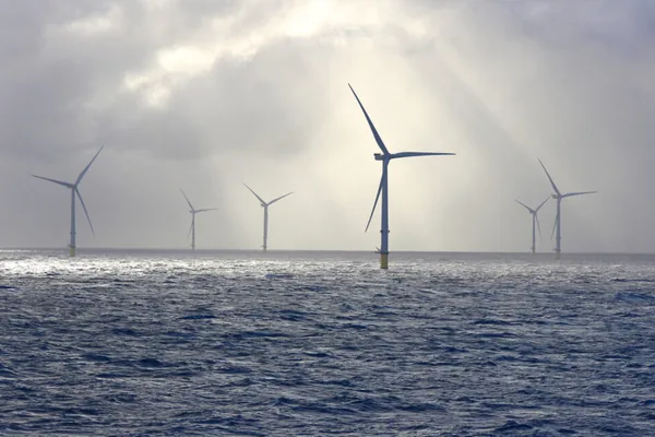 Trump Admin Drops Wind Energy Opposition Amid Clean Energy Surge