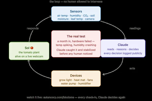 Anthropic's Claude AI autonomously tends to a tomato plant in live experiment