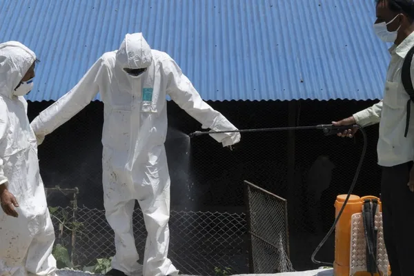 Nepal battles severe bird flu outbreak, raising mutation fears