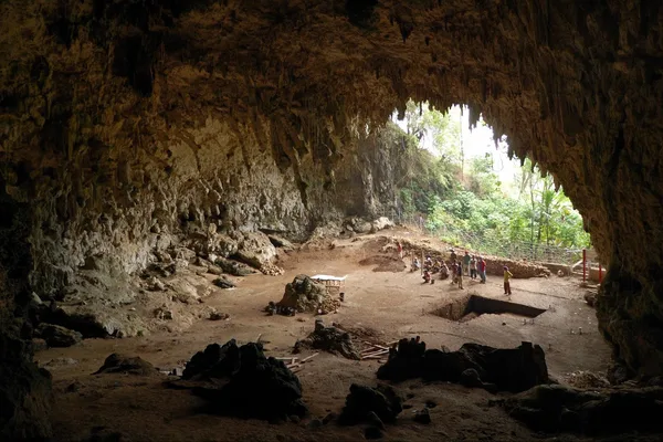 研究修正了智人（Homo floresiensis）的狩猎行为；失落的巨齿鲨（Megalodon）椎骨被重新发现