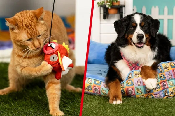 Pokémon Launches New Merchandise Line for Pets
