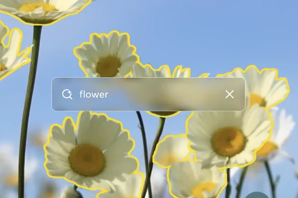 Amazon Nova uses AI to automatically redact PII in images