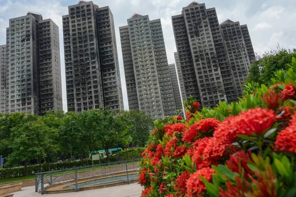 Experts cite systemic policy failures in Wang Fuk Court fire
