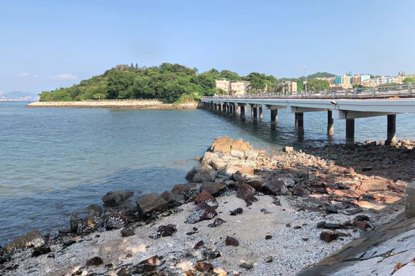 Teenager drowns after falling from Hong Kong bridge