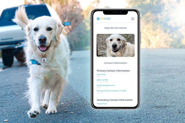 PetCode pivots to focus on pet safety after Replit Ventures program